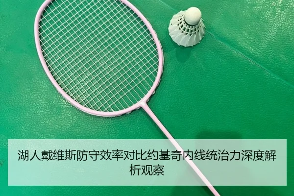 湖人戴维斯防守效率对比约基奇内线统治力深度解析观察（kaiyun）